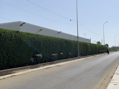 SOLAR ABS 90W STREET LIGHT (ECONO SERIES)